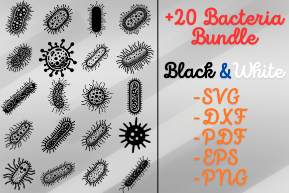 Bacteria SVG Bundle
